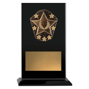 Black cosmos glass - star with glass construction