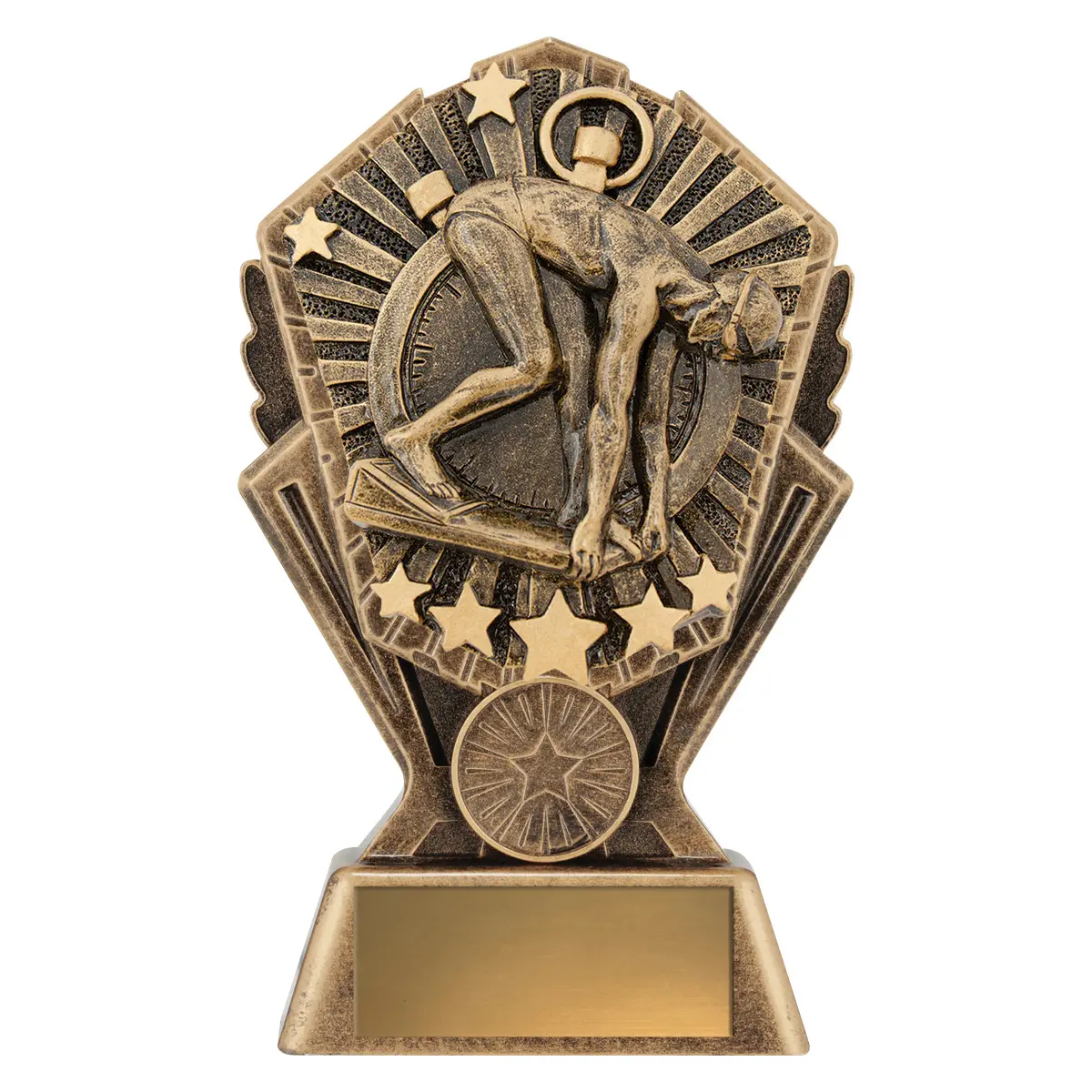 cr122a-gold Gold cosmos - male swimmer with resin construction