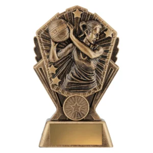 Gold cosmos - netball with resin construction