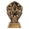 Gold cosmos - star with resin construction