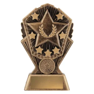 Gold cosmos - star with resin construction