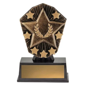 Gold cosmos super mini - star with plastic construction
