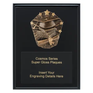 Black cosmos super plaque - academic with timber construction