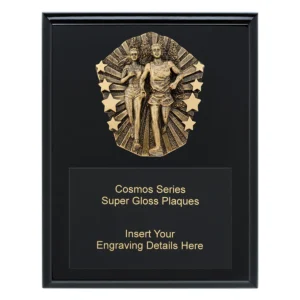 Black cosmos super plaque - cross country with timber construction