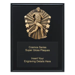 Black cosmos super plaque - male running with timber construction
