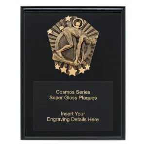 Black cosmos super plaque - male swim with timber construction