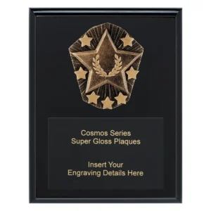 Black cosmos super plaque - star with timber construction