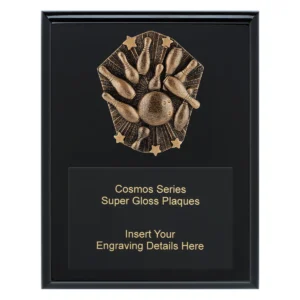 Black cosmos super plaque - tenpin with timber construction