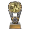 -gold Silver / gold cricket polaris with resin / metal construction