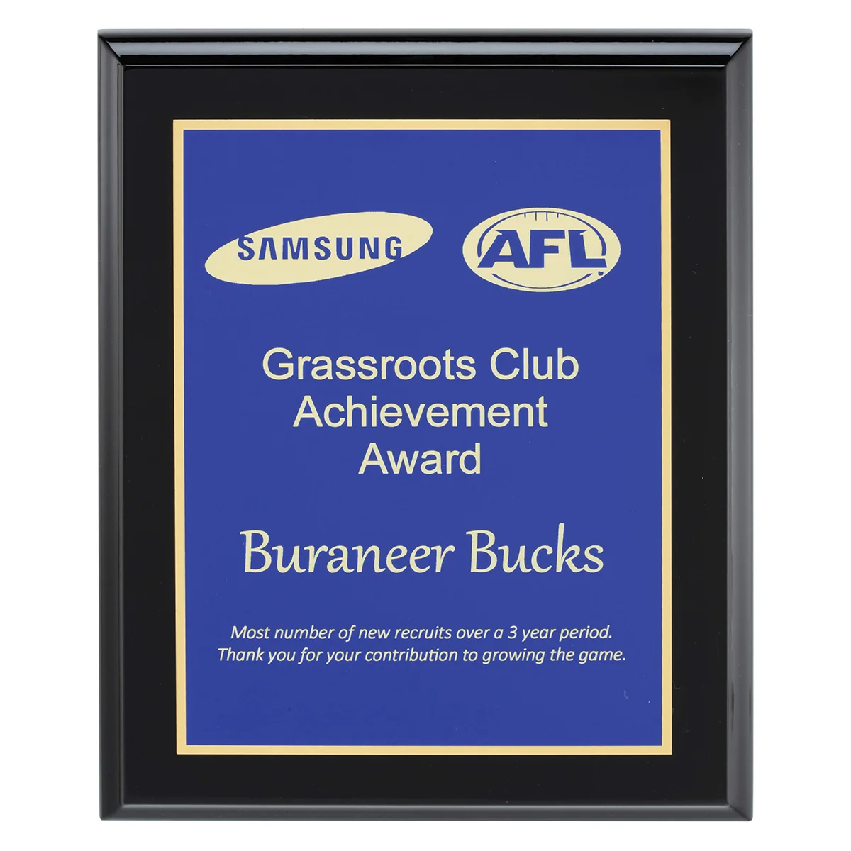sk-57bu-blue Blue designer blue plaque with timber construction