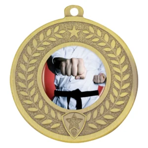 Gold distinction - martial arts with metal construction