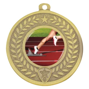 Gold distinction - track with metal construction