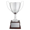 cup196a-silver Silver elite pro cup with metal / timber construction
