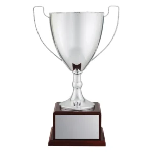 Silver elite pro cup with metal / timber construction