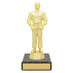 Gold figure trophy - male judo with plastic / marble construction