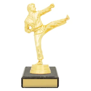 Gold figure trophy - male karate with plastic / marble construction