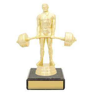 Gold figure trophy - weightlifting with plastic / marble construction