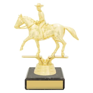 Gold figure trophy - western with plastic / marble construction