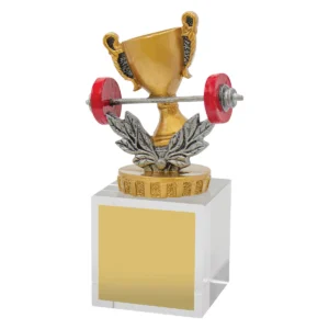 Silver fitness budget crystal with crystal construction