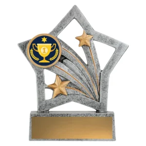 Silver flash - 1st place with resin construction