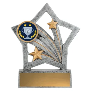 Silver flash - 2nd place with resin construction