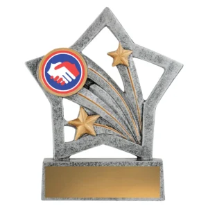 Silver flash - handshake with resin construction