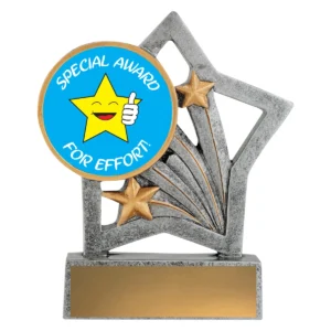 Silver flash - special award with resin construction