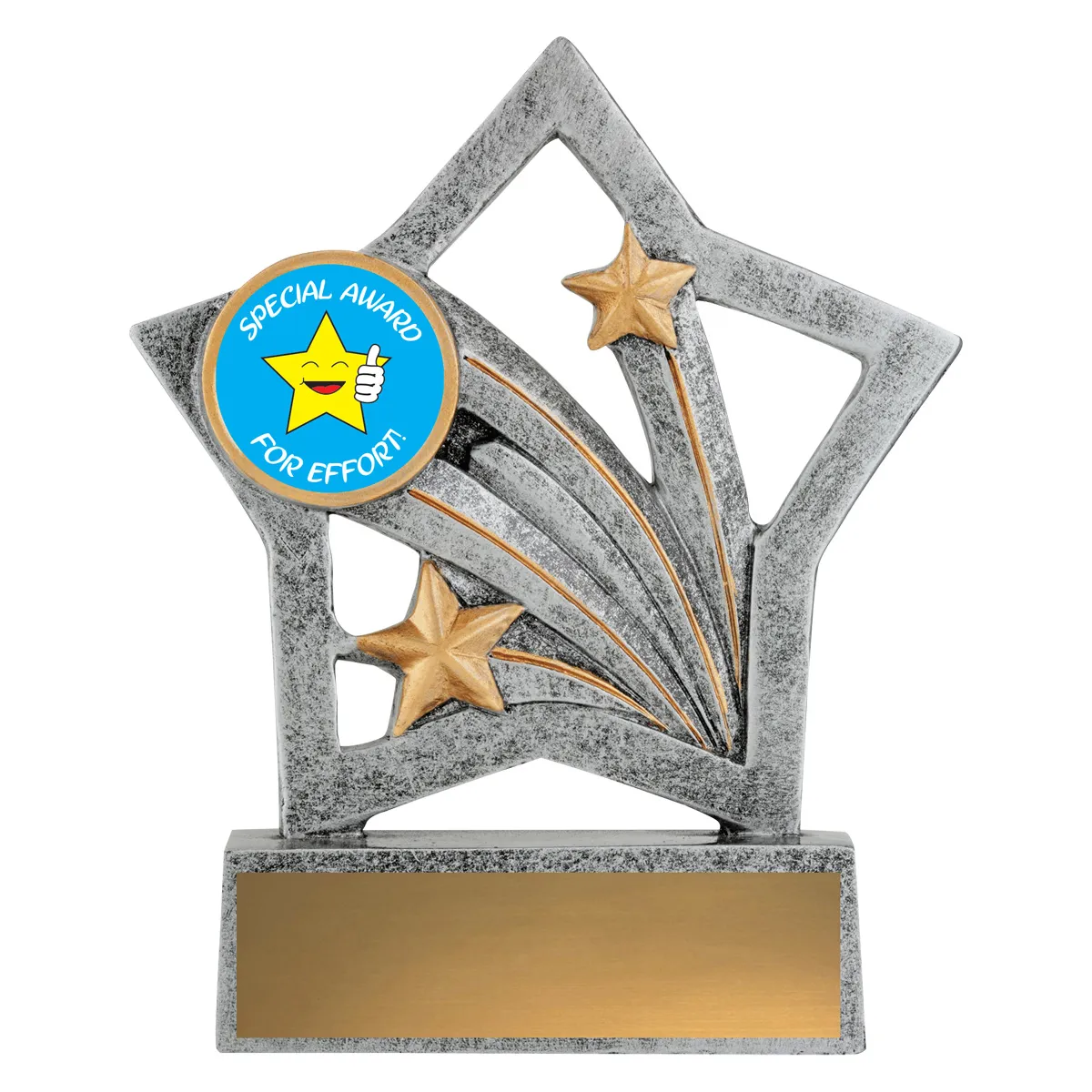 Silver flash - special award with resin construction