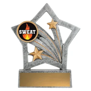 Silver flash - sweat training with resin construction