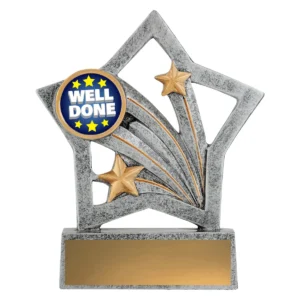 Silver flash - well done with resin construction