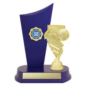 Blue football blue crest with plastic / timber construction