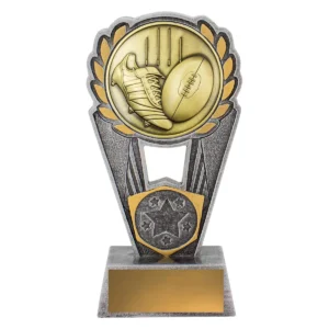 Silver / gold footy polaris with resin / metal construction