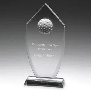 Glass budget shield with glass construction