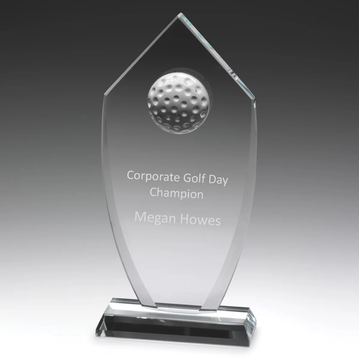 wc219a-grey-bg Glass budget shield with glass construction