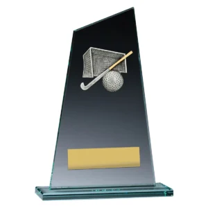 Glass peak - hockey with glass construction