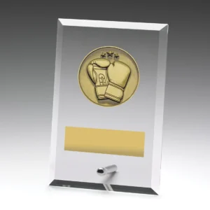 Glass plaques - boxing with glass construction