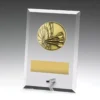 Glass plaques - darts with glass construction
