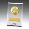 Glass plaques - league / union with glass construction