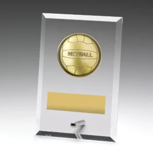 Glass plaques - netball with glass construction