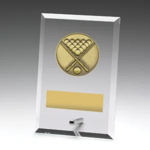 Glass plaques - pool with glass construction