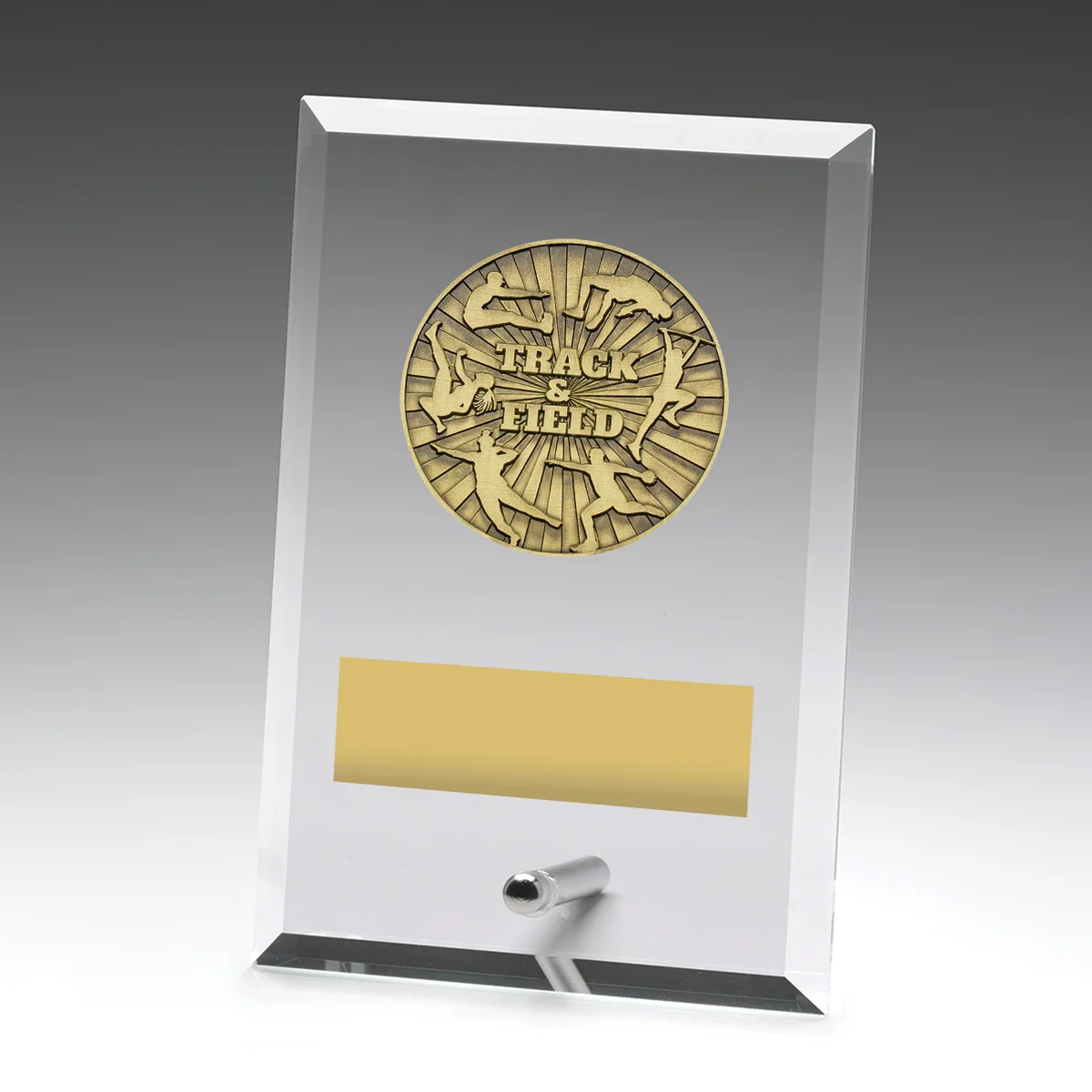 Glass plaques - track & field with glass construction