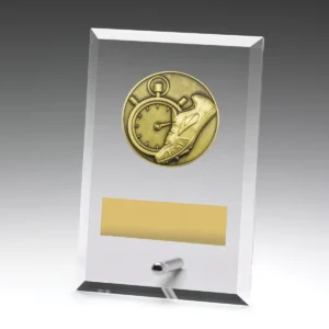 Glass plaques - track with glass construction
