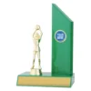 n541a-green Green gloss green wing with plastic / timber construction