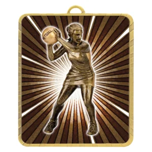 Gold gold lynx medal - netball with metal construction