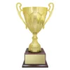 Gold gold rubicon - timber base with plastic / metal / timber construction