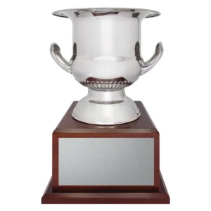 Silver hermitage cup with metal / timber construction