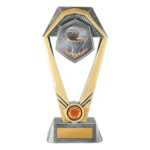 Silver / gold hex series-basketball with resin construction