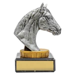 Black horse marble with marble construction