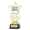 Gold icon star - laptop master with plastic construction