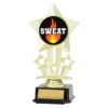Gold icon star - sweat with plastic construction